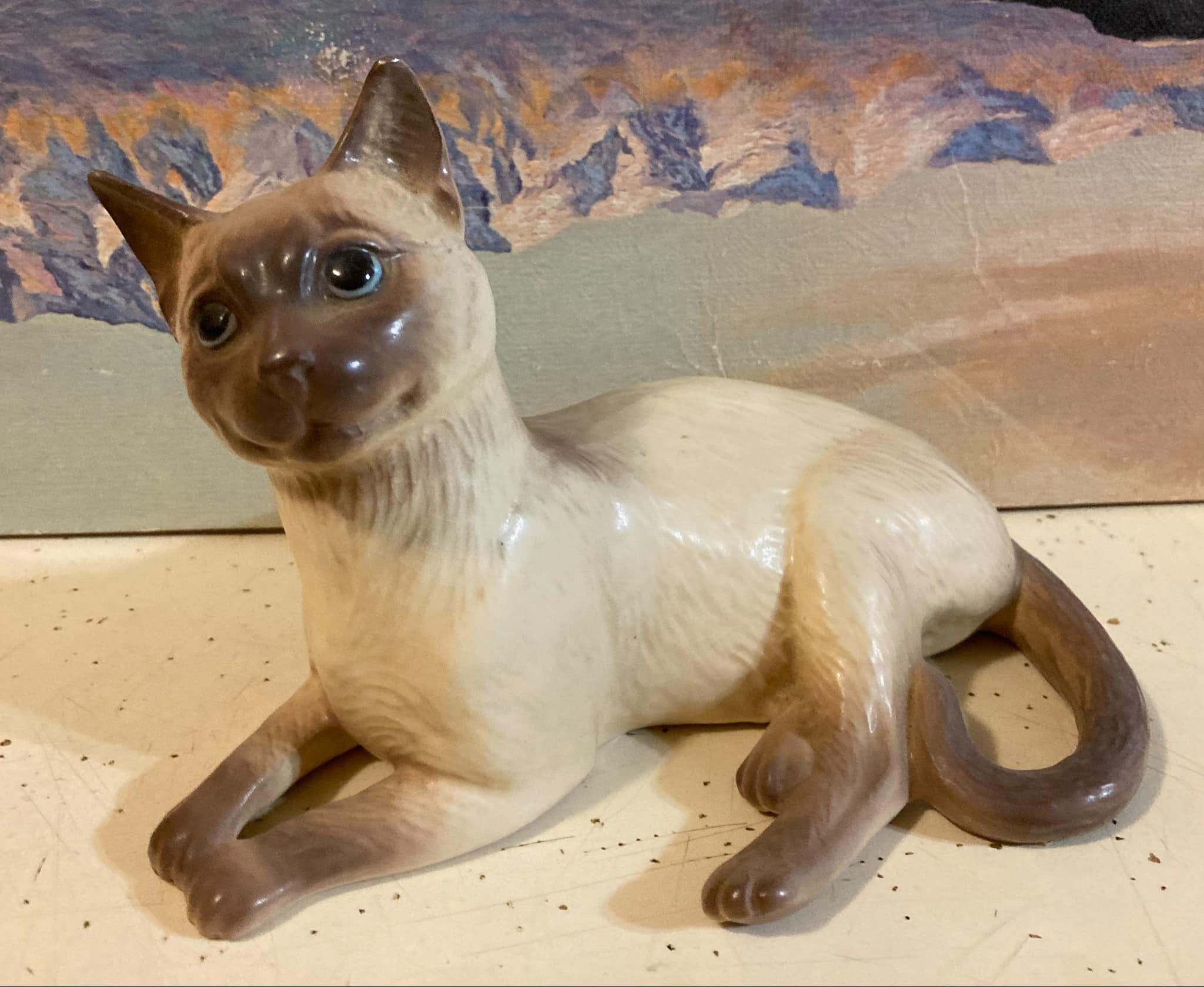 Siamese Cat lying "Harry"-image