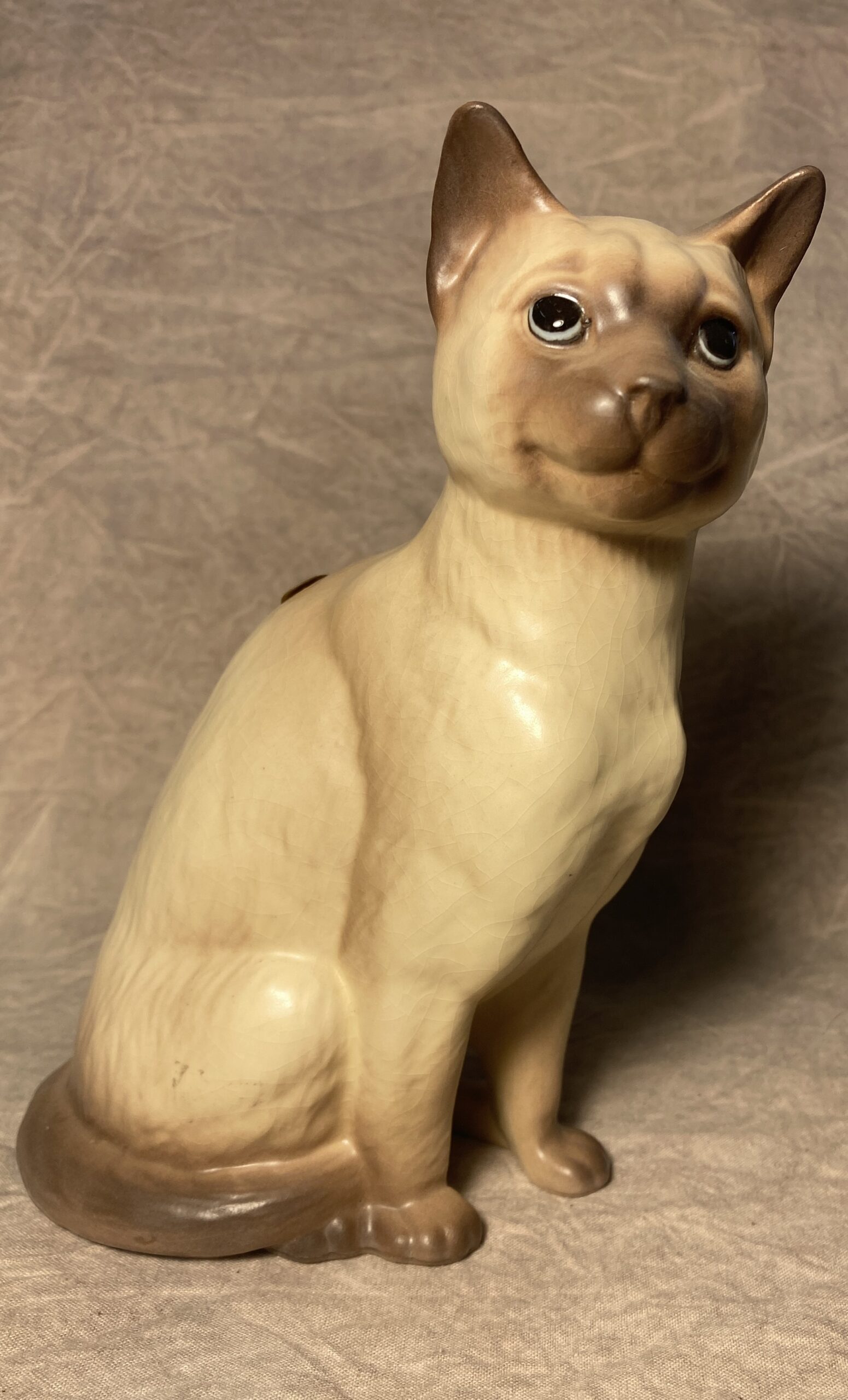 Siamese Cat seated "Dick"-image