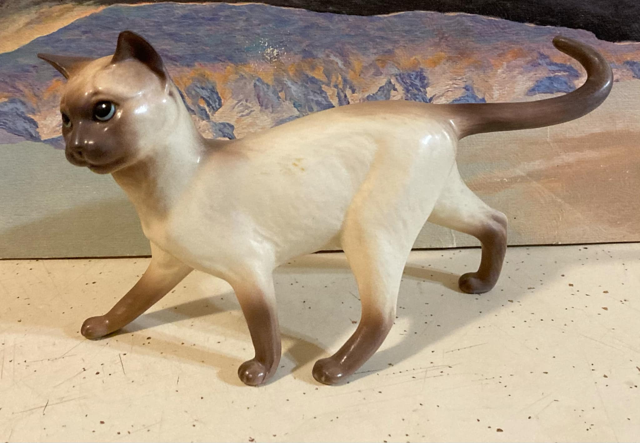 Siamese cat walking "Tom"-image