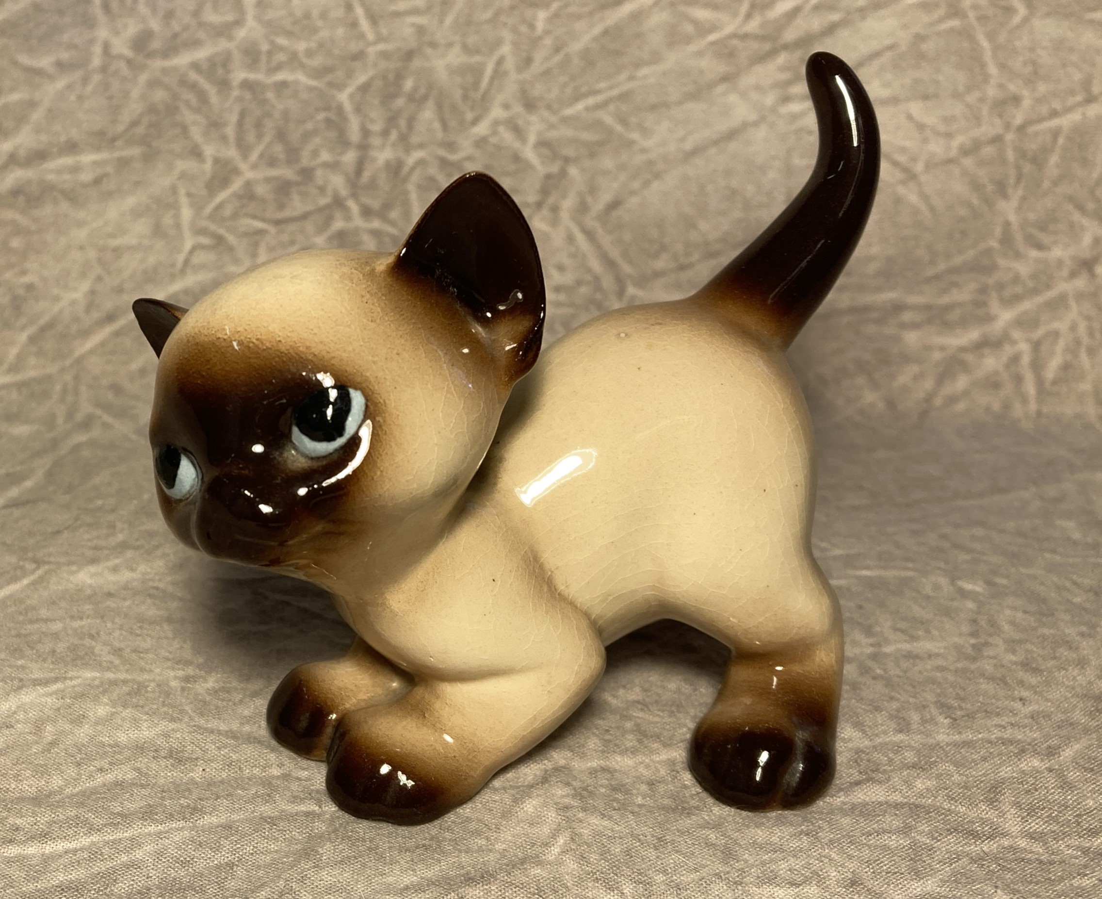 Siamese kitten standing "An How"-image