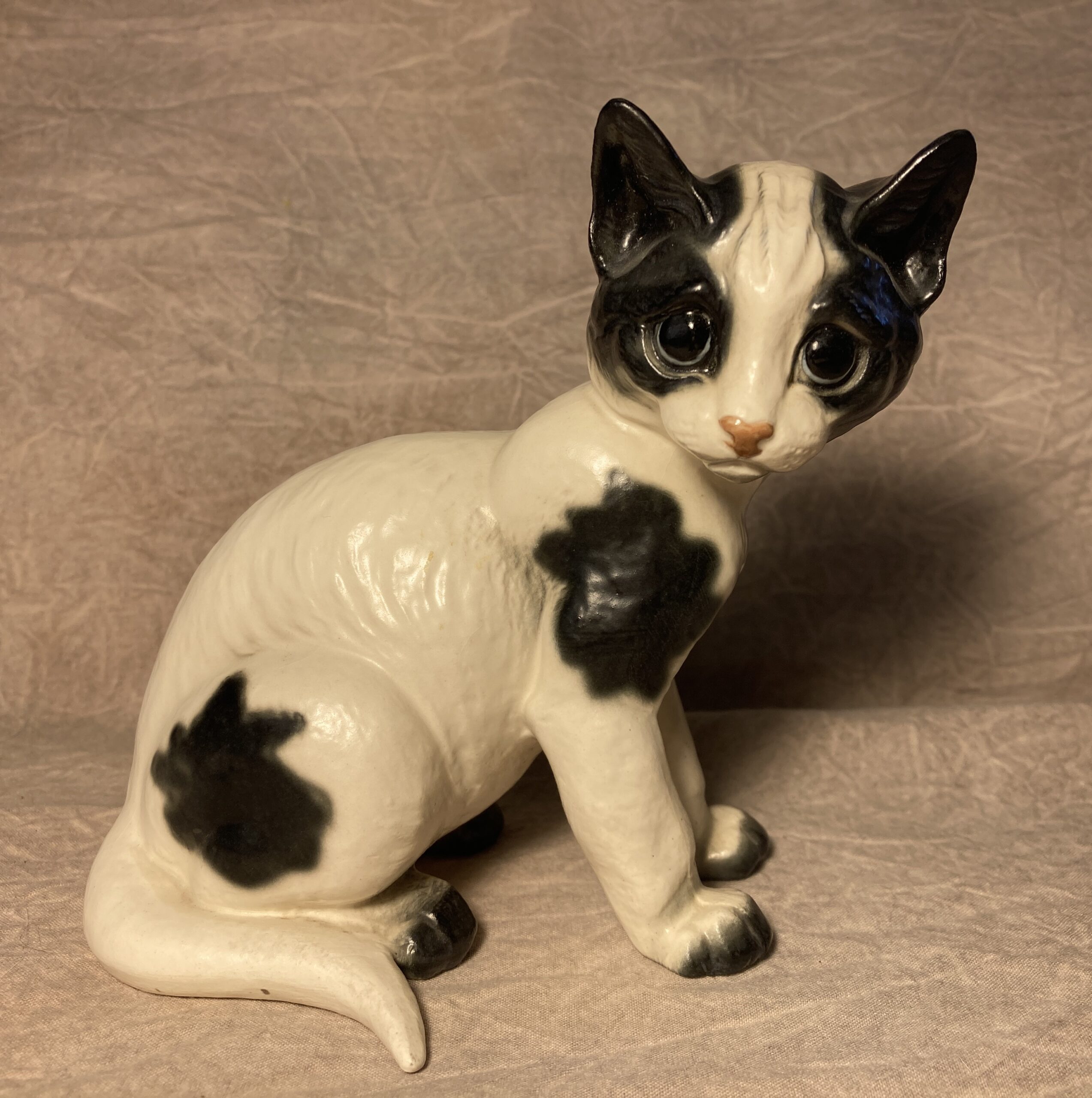 Kitten seated "Tabby"-image