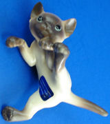 Siamese kitten, climbing "Tink"-image