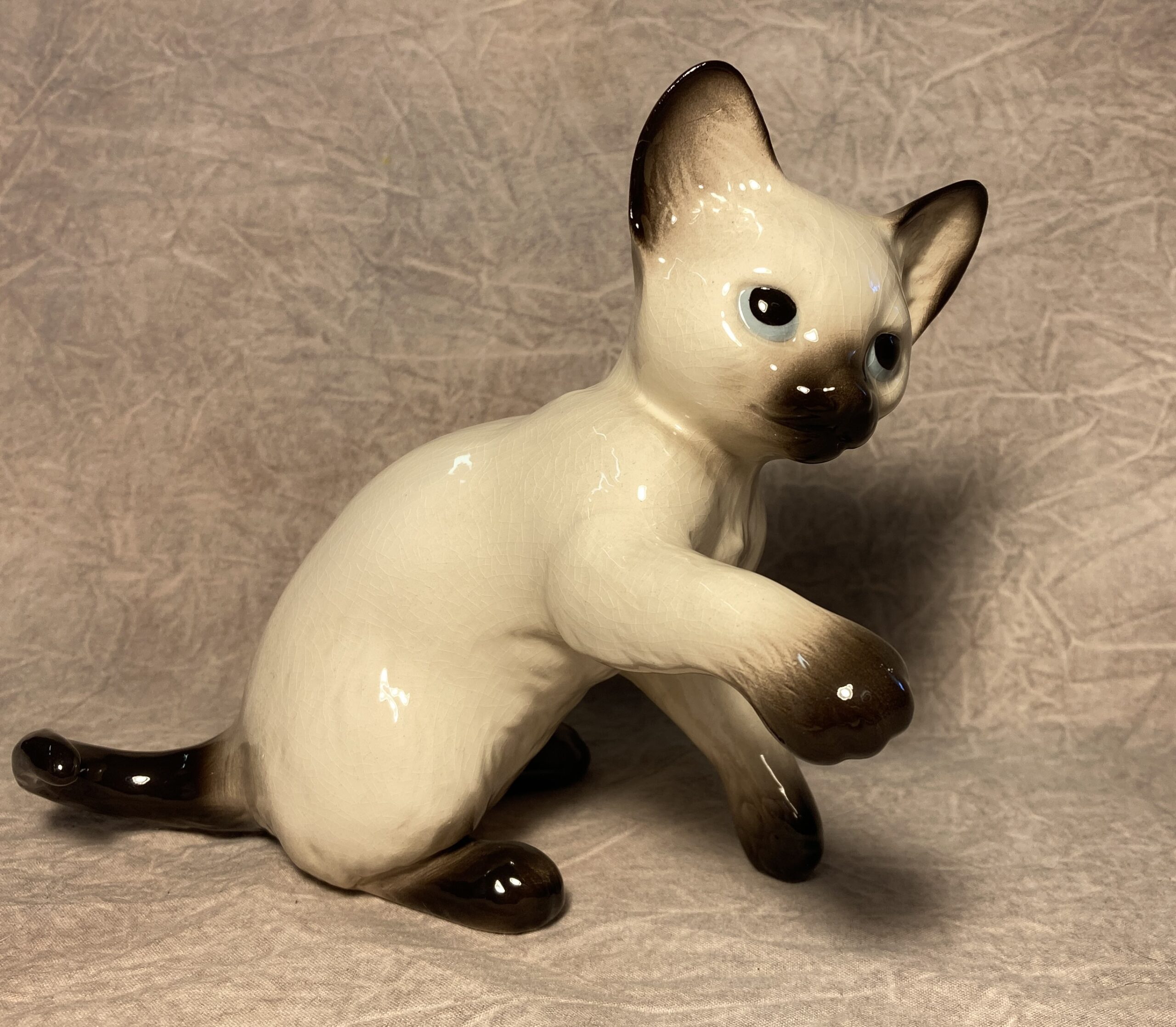 Kitten, paw out-image