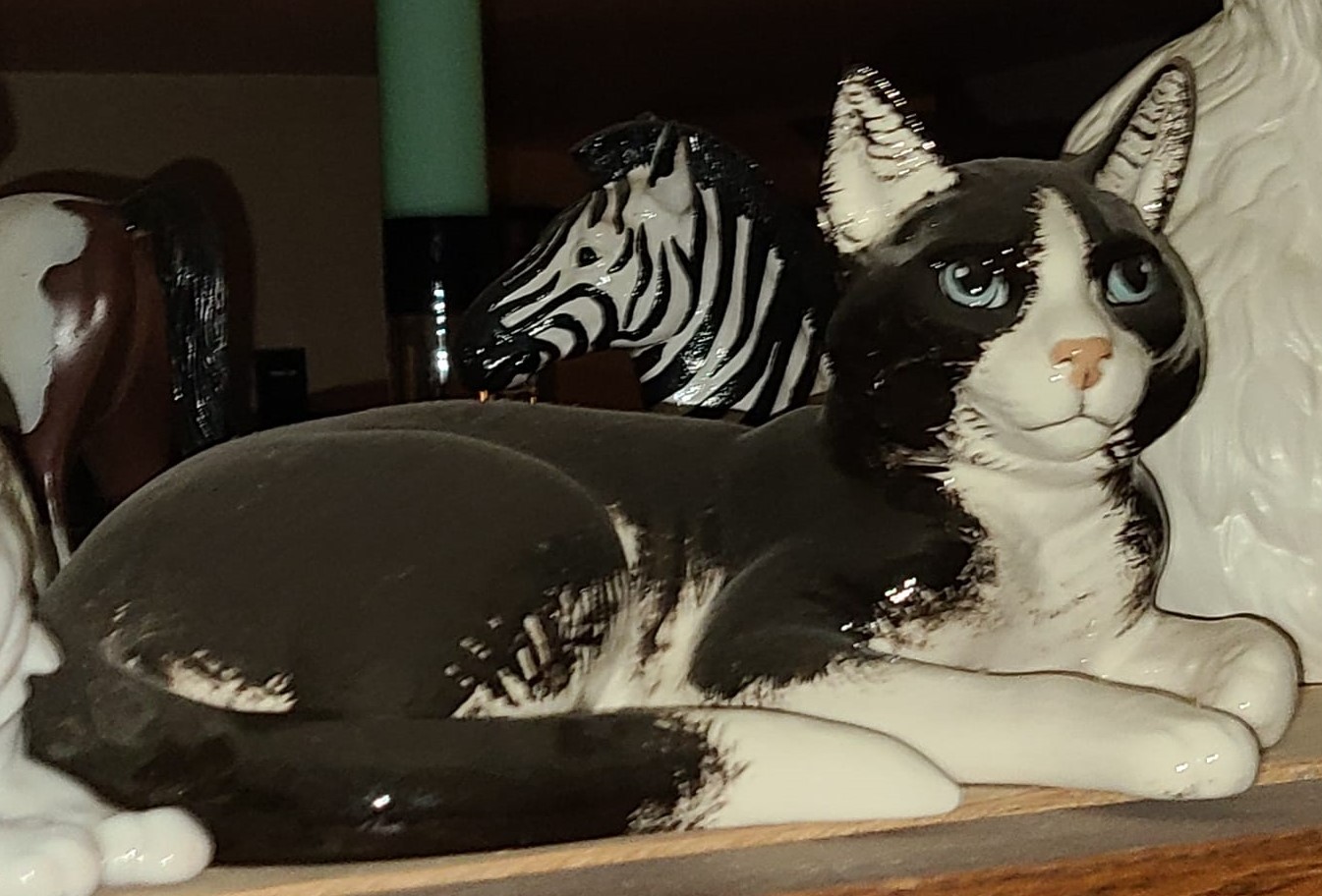 Cat, lying, large-image