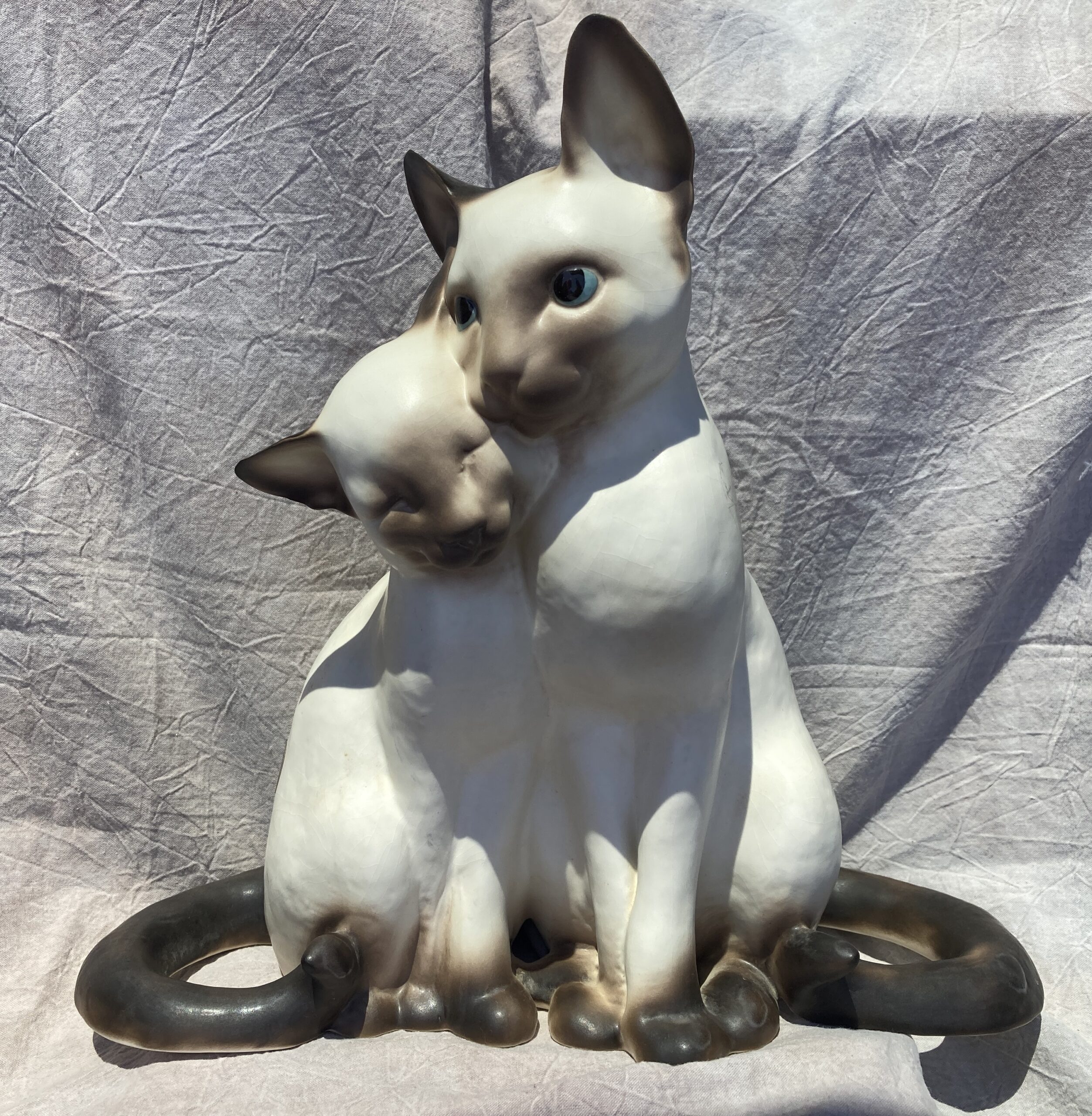 Loving Cats-image