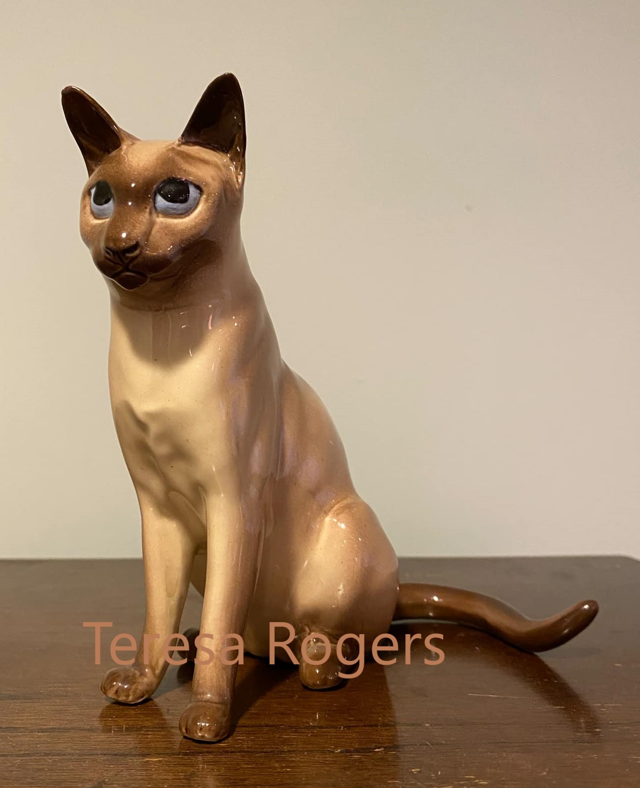 Cat, sitting "Ah Choo"-image
